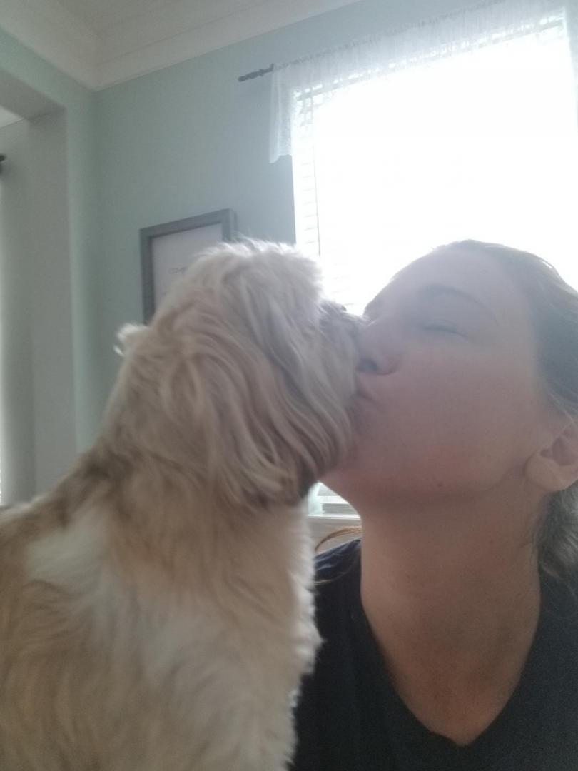 Meet Our Sitters St. Augustine, Jacksonville, Palm Coast Dog Days