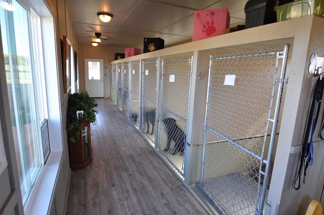 Gallery Dog Digs Canine Boarding Facility