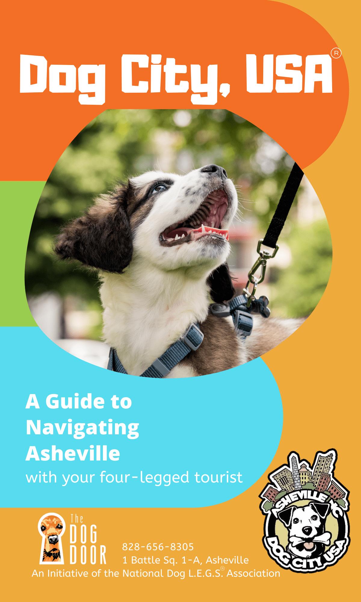 Dog City, USA The Most DogFriendly City in the US Asheville, NC