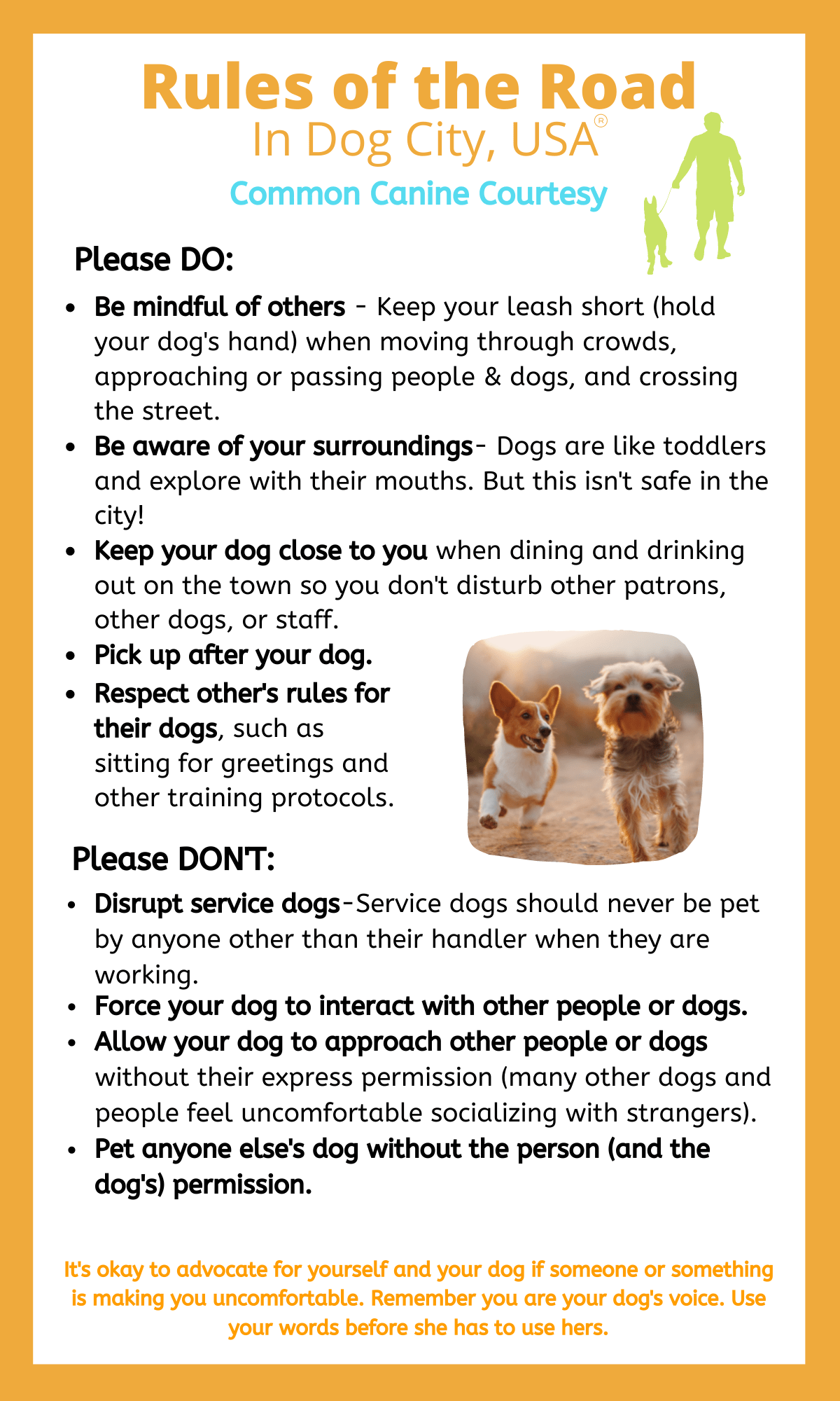 Dog City, USA The Most DogFriendly City in the US Asheville, NC