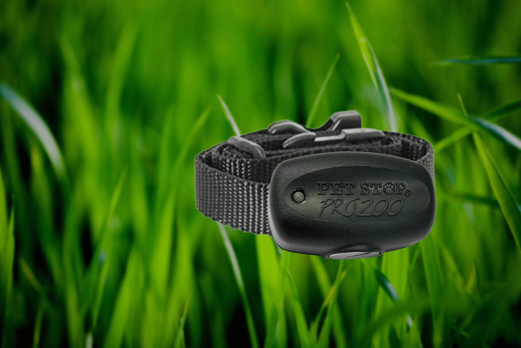 100 Off Hidden Dog Fencing Systems in Maryland Pet Stop by Dog