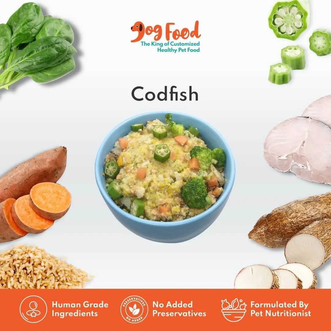 King of Fresh Pet Food & Customized Dog Food in Malaysia Dog Food