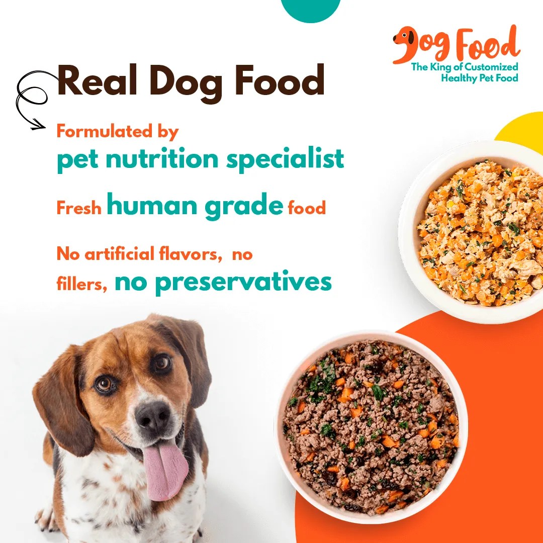 Kidney Care / Renal Support Archives Dog Food Online Pet Food
