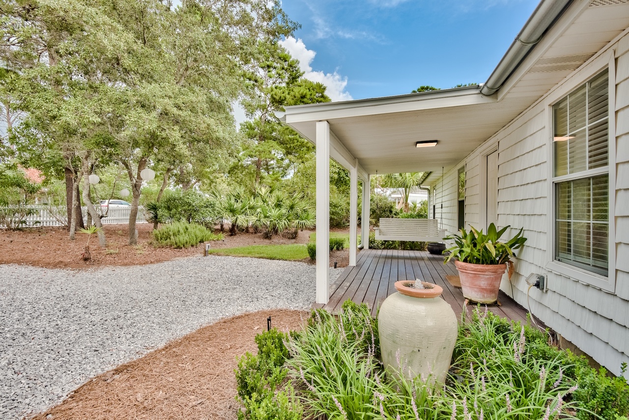 30A Paws The perfect 30A destination for you and your pup! » Dog