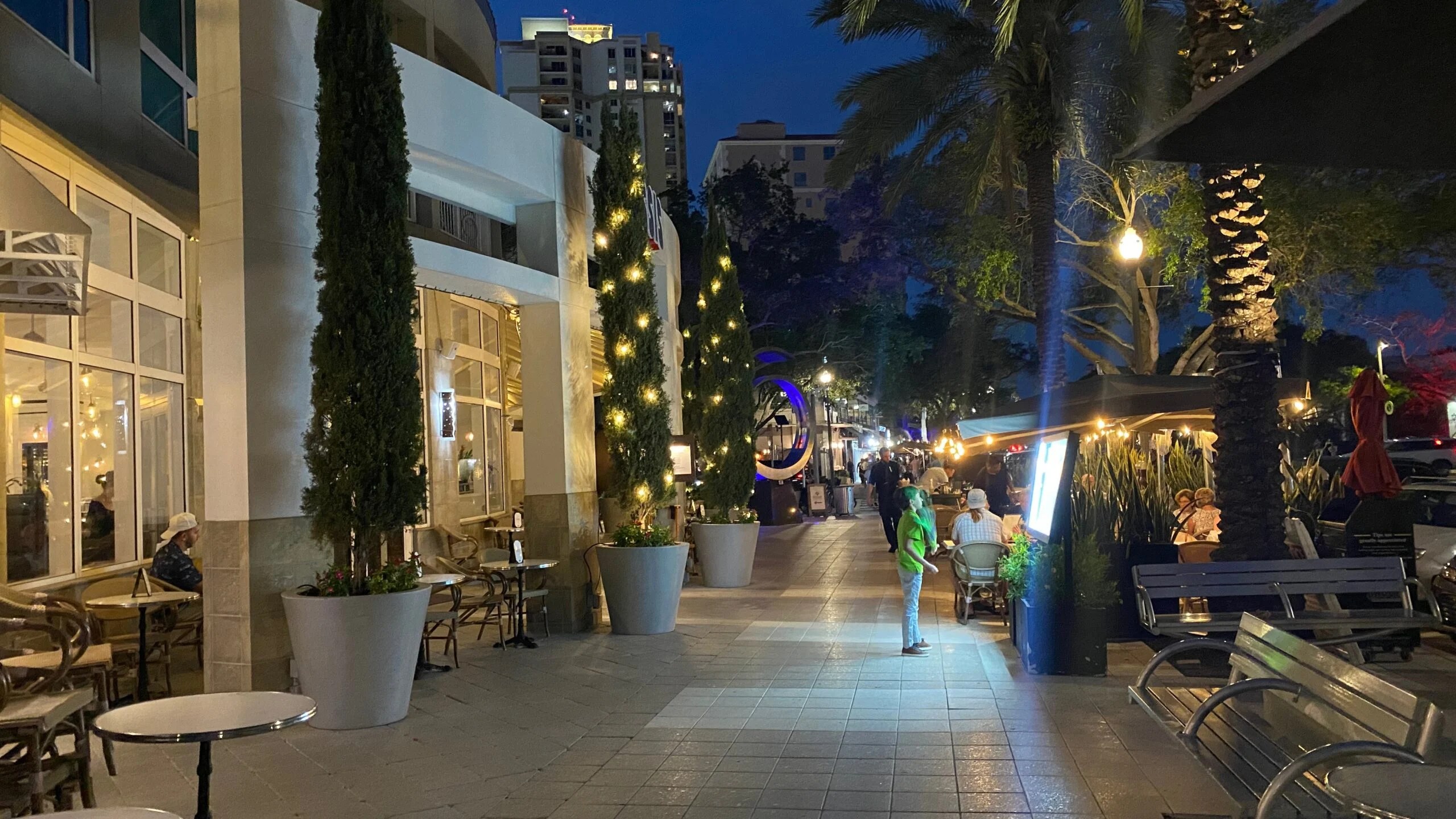 Cassis A Delightful DogFriendly Brunch Experience in St. Pete Dog