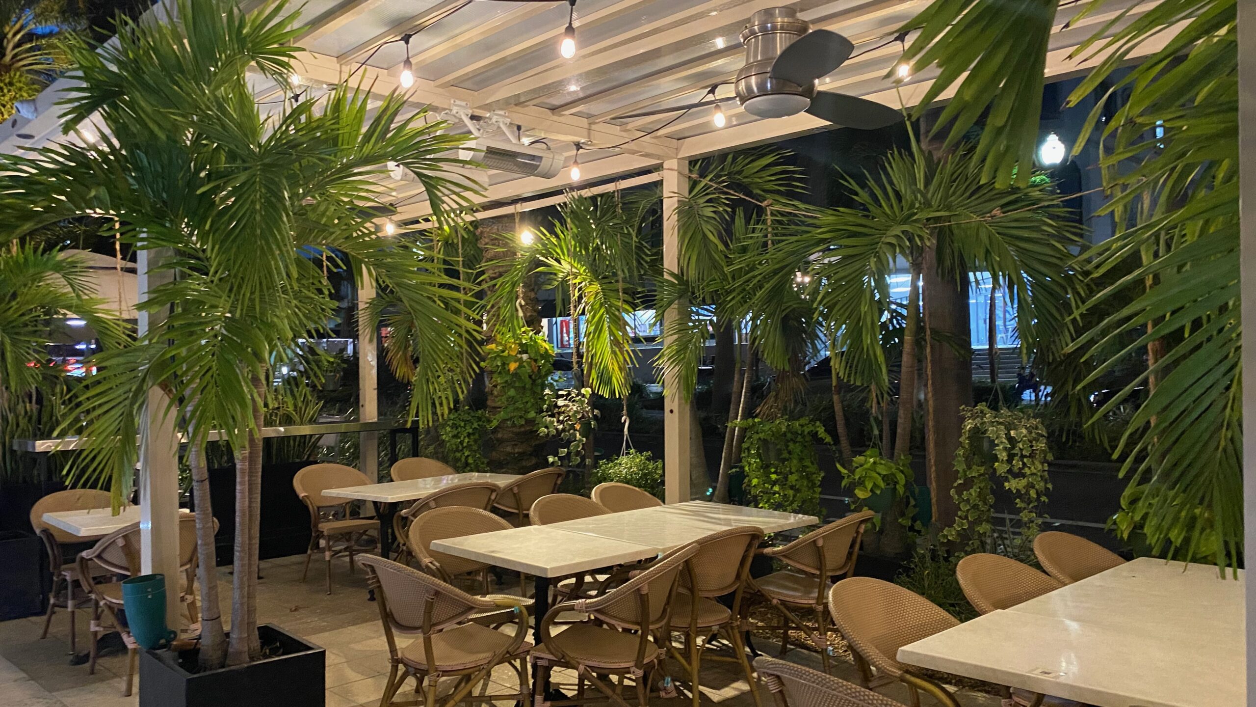 Cassis A Delightful DogFriendly Brunch Experience in St. Pete Dog