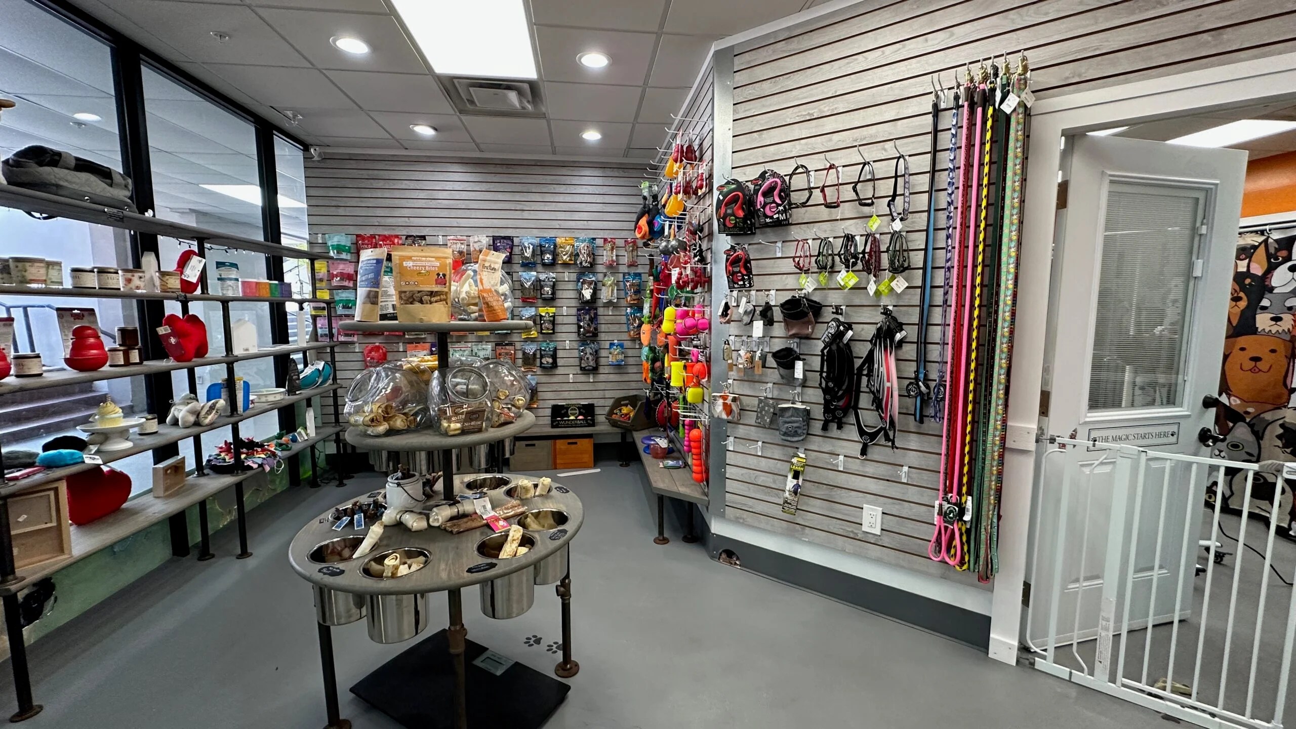 Petworks A Paradise for Pets and Owners in St. Petersburg Dog