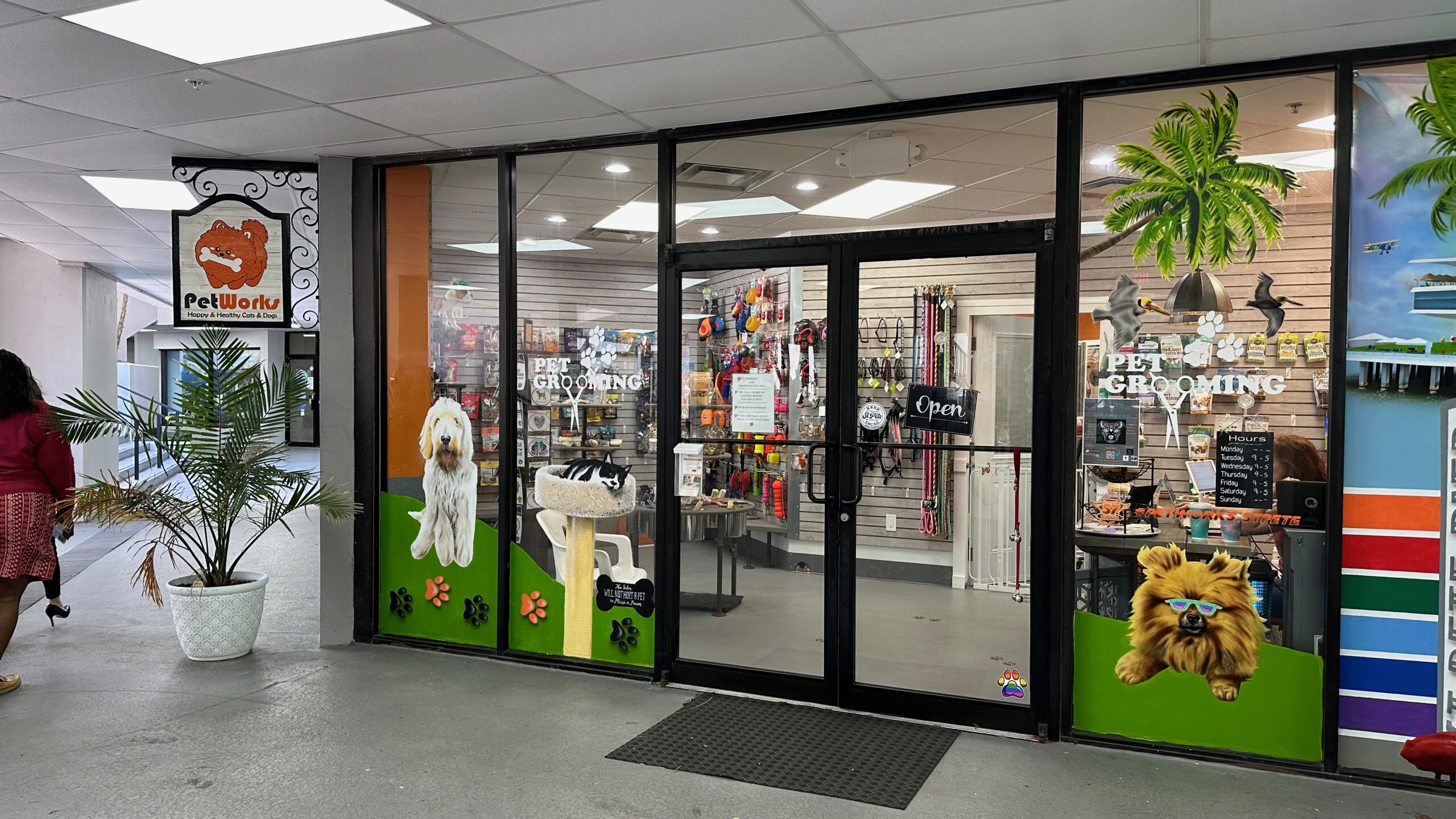 Petworks A Paradise for Pets and Owners in St. Petersburg Dog