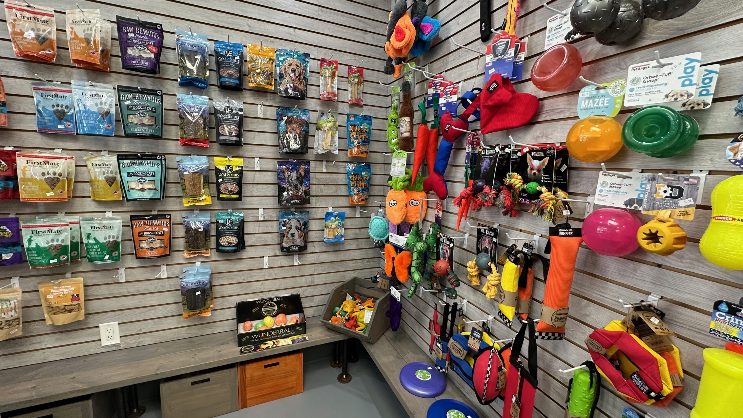 Petworks A Paradise for Pets and Owners in St. Petersburg Dog Friendly St Pete