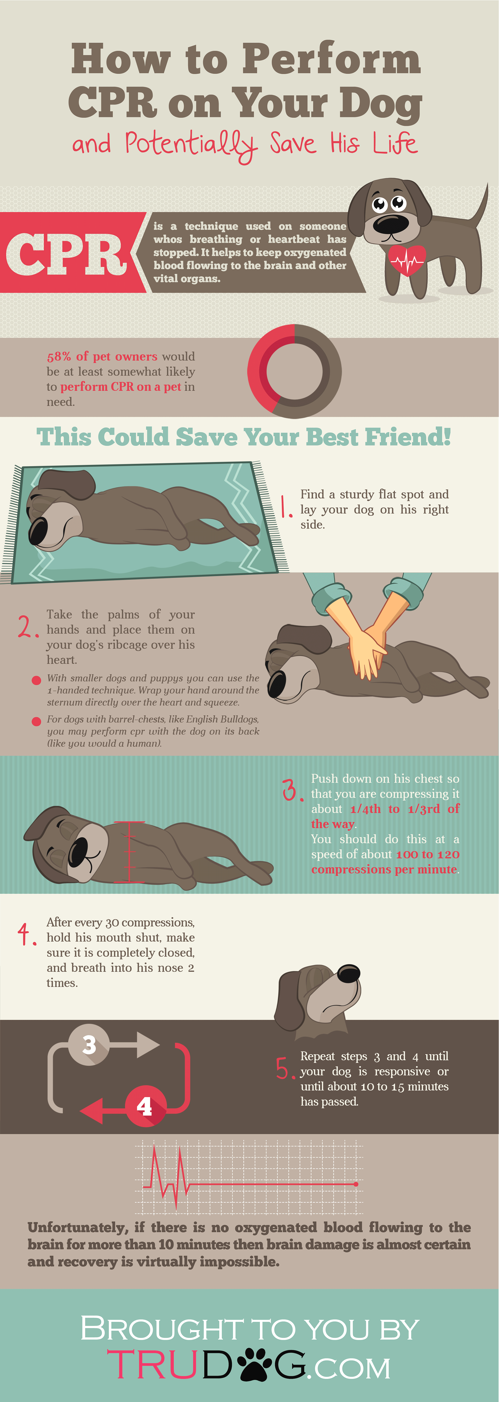 How to Perform CPR on Your Dog