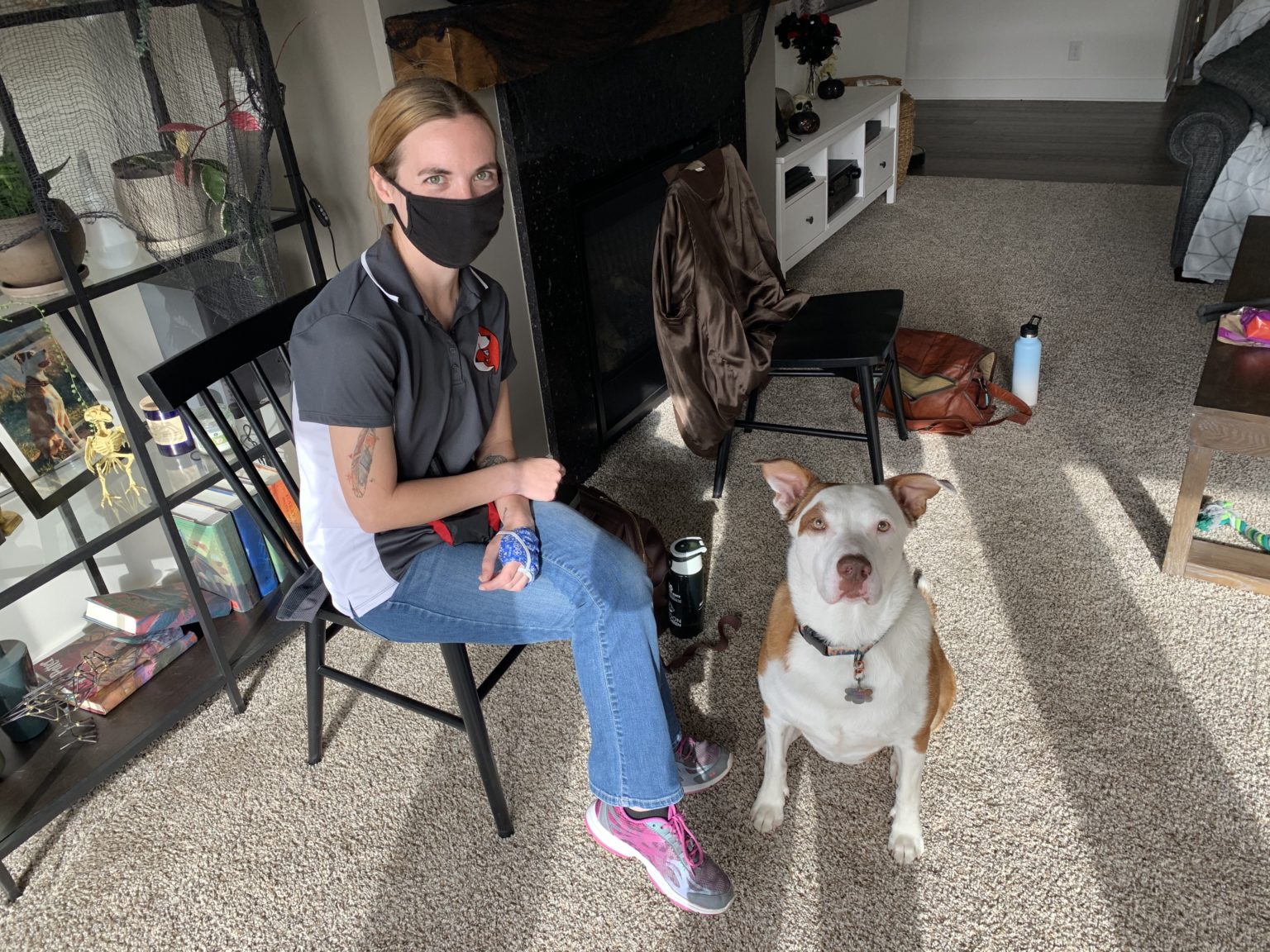 Omaha Dog Behavior Help Dog Gone Problems