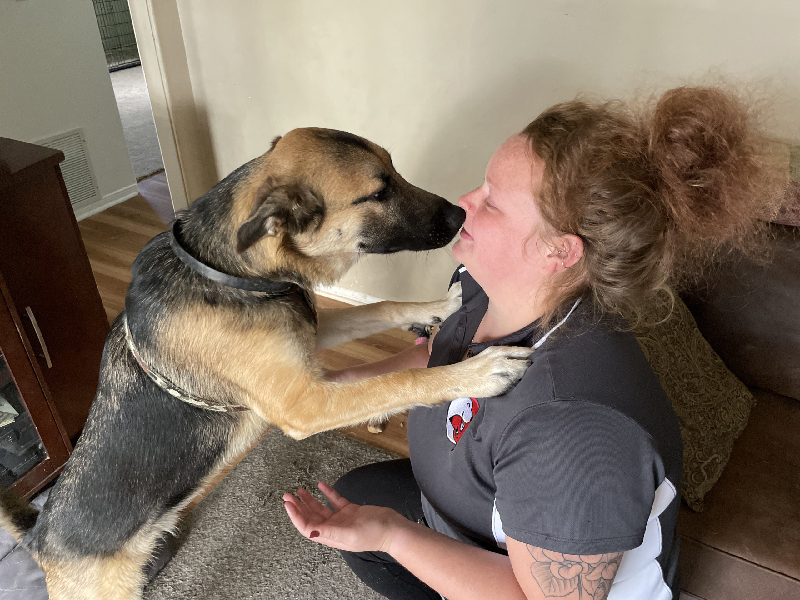 Separation Anxiety Training Help For Dogs Dog Gone Problems