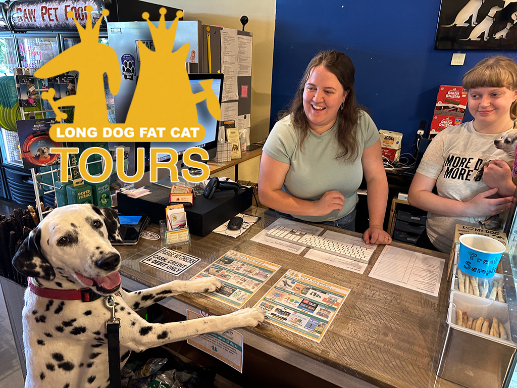 Long Dog Fat Cat Dog Gone Problems