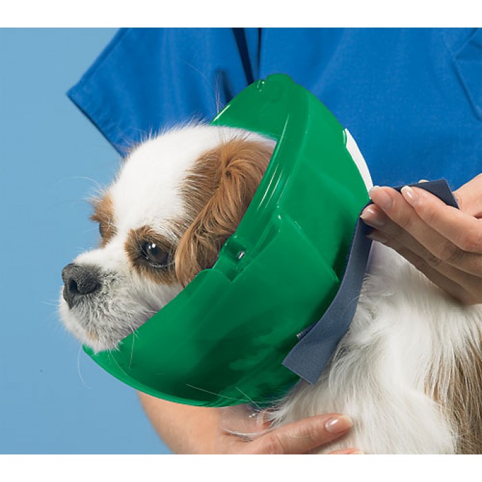 Using Muzzles and ECollars While Grooming Dog Grooming Tutorial
