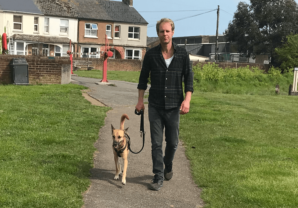 How Long Does it Take to Train a Rescue Dog? DoggyLottery