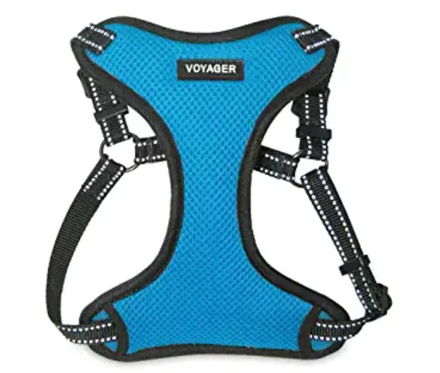 Best Dog Harness 2022 Top Picks and Reviews