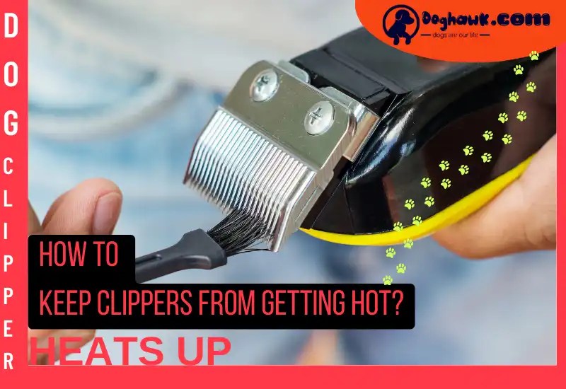Why Do My Dog Clippers Get Hot? (Identify the Problems & Solutions)