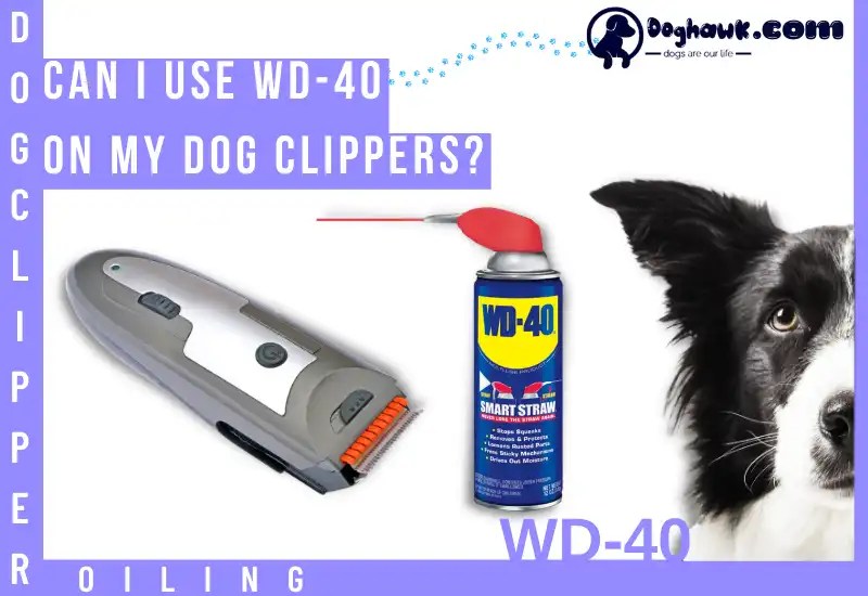 What Kind of Oil Can You Use on Dog Clippers