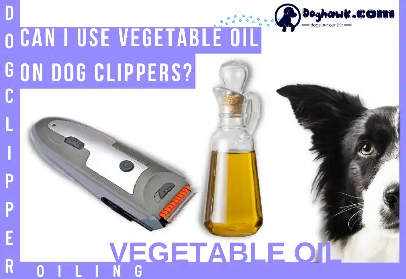 What Kind of Oil Can You Use on Dog Clippers