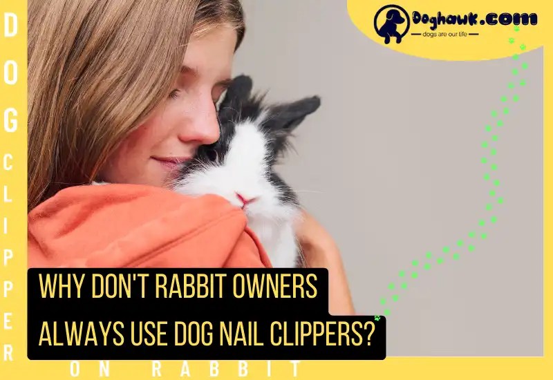 Can I Use Dog Nail Clippers On A Rabbit