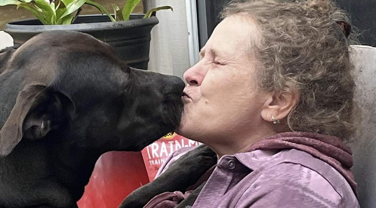 Shelter Dog Adopted After 5 Years Waiting Thanks to Community's Gift