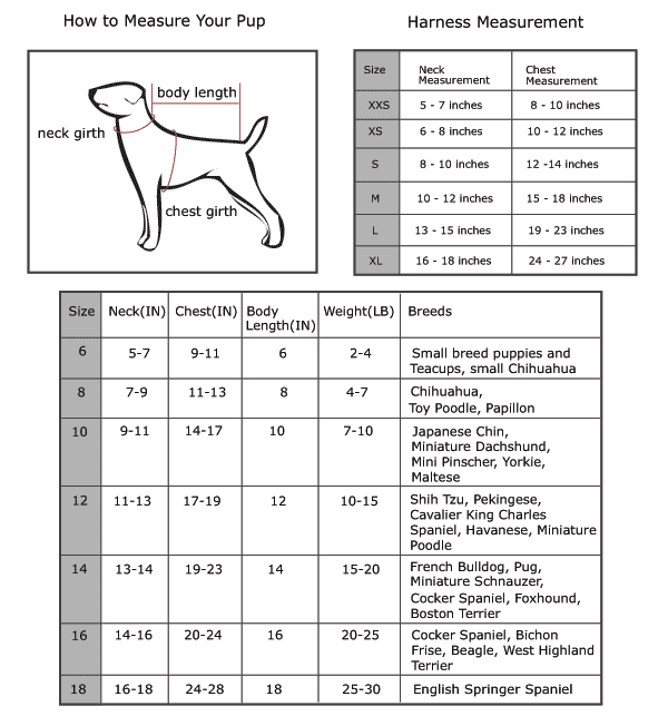 Big, Medium & Small Dog Breeds by Size & Personality √ Dog Size Chart