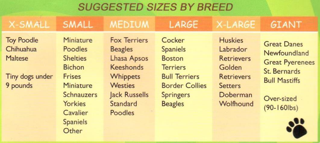 Big, Medium & Small Dog Breeds by Size & Personality √ Dog Size Chart