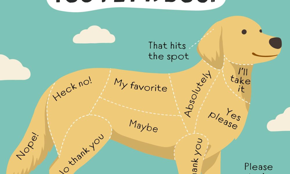 Petting A Dog Tips And Tricks The Dogington Post