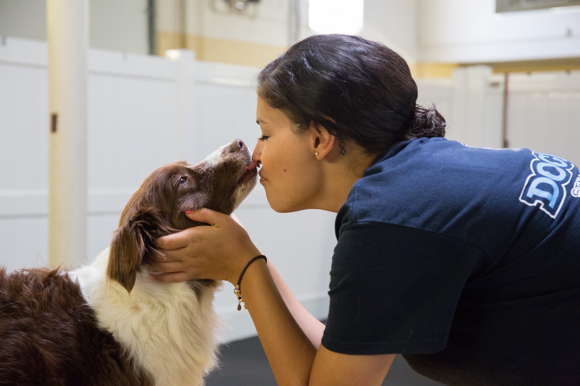 Dog Daycare in Rockville, MD DogiZone
