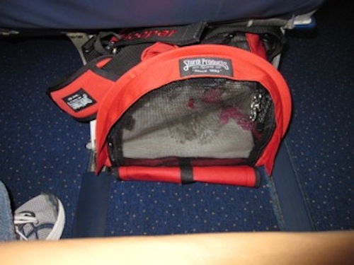 Tips from Dog Jaunt readers Packing a crate, improving chances for in