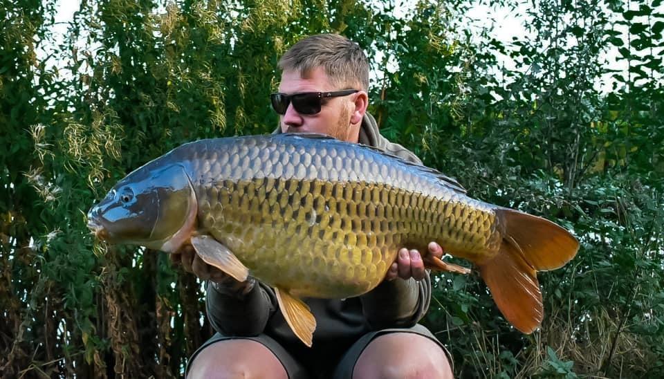 Carp Gallery Dog Lane Fishery Fishing, Caravan & Camping Park in