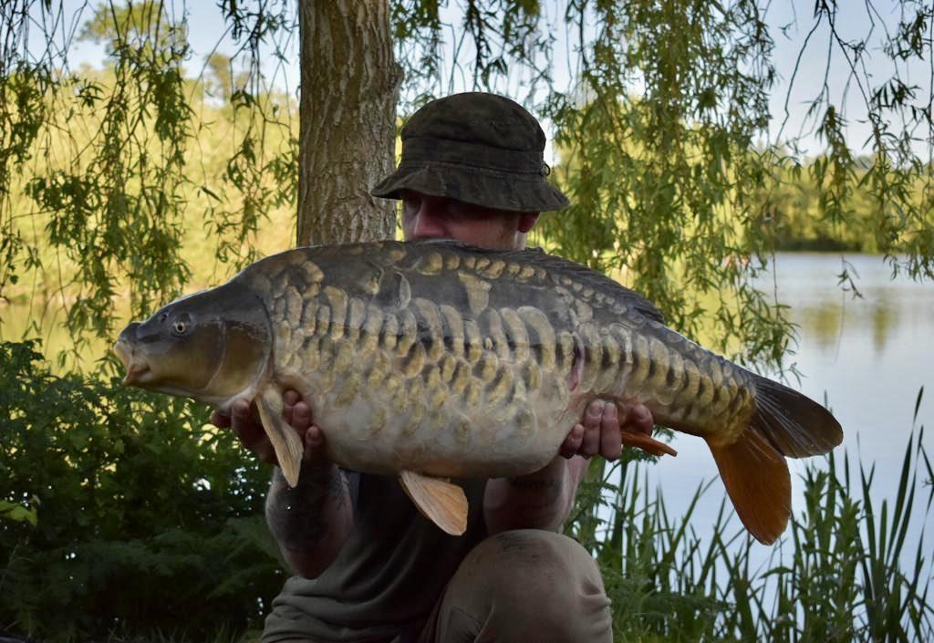 Carp Gallery Dog Lane Fishery Fishing, Caravan & Camping Park in Warwickshire