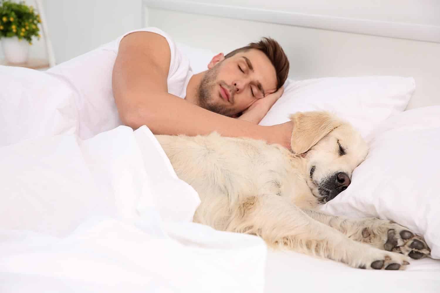 Pros and Cons of Dog Sleeping in Your Bed DOG n DOGS