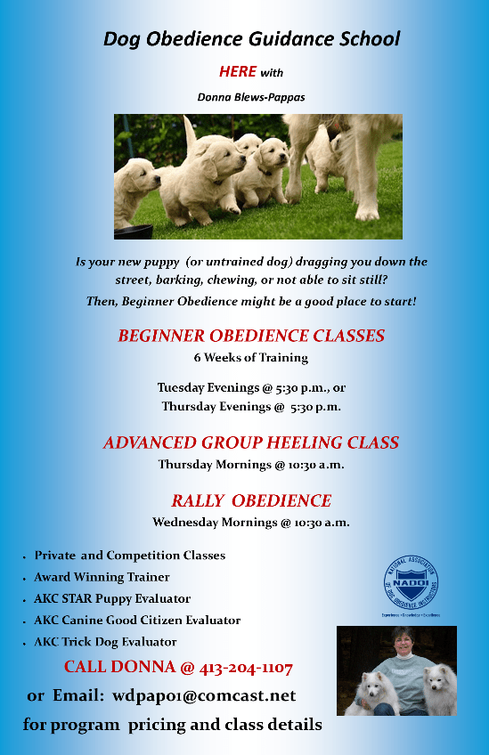 Dog Obedience Guidance School
