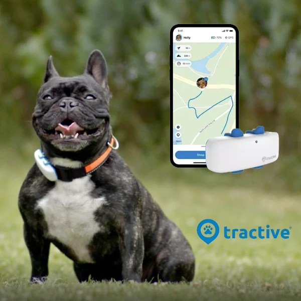 Discover The Best GPS Dog Tracker Never Loose Your Dog Again Dog Owner