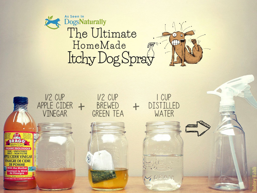 Homemade Itchy Dog Spray DogPerDay