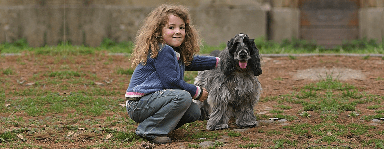 Dog Training Oklahoma American Dog Obedience Norman, OK