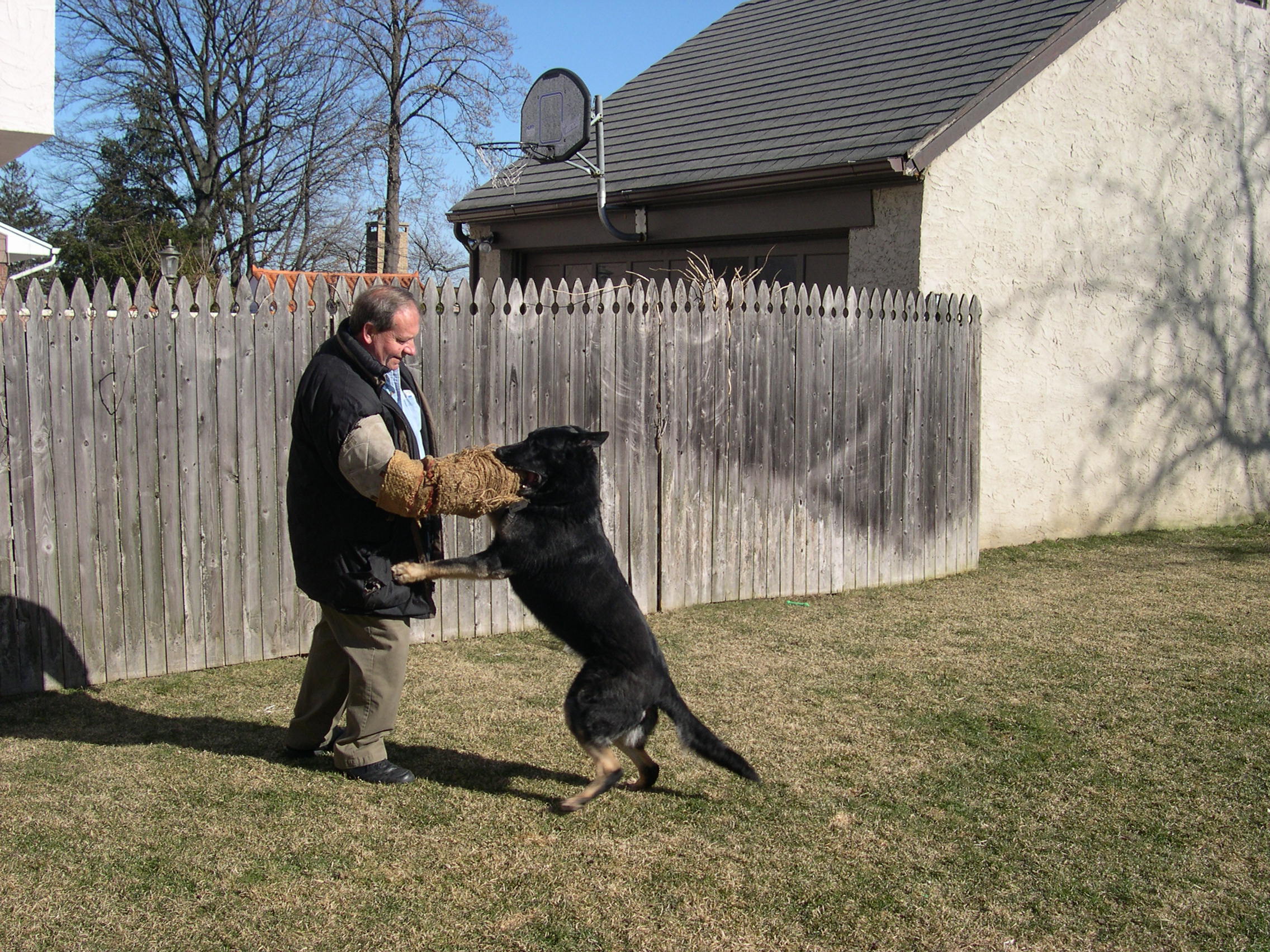 Principals of Dog Training Training your dog