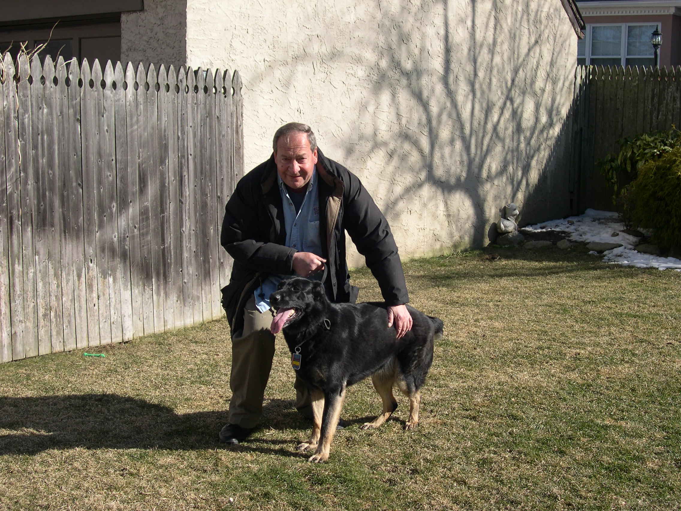 Learn How To a Certified Dog Trainer