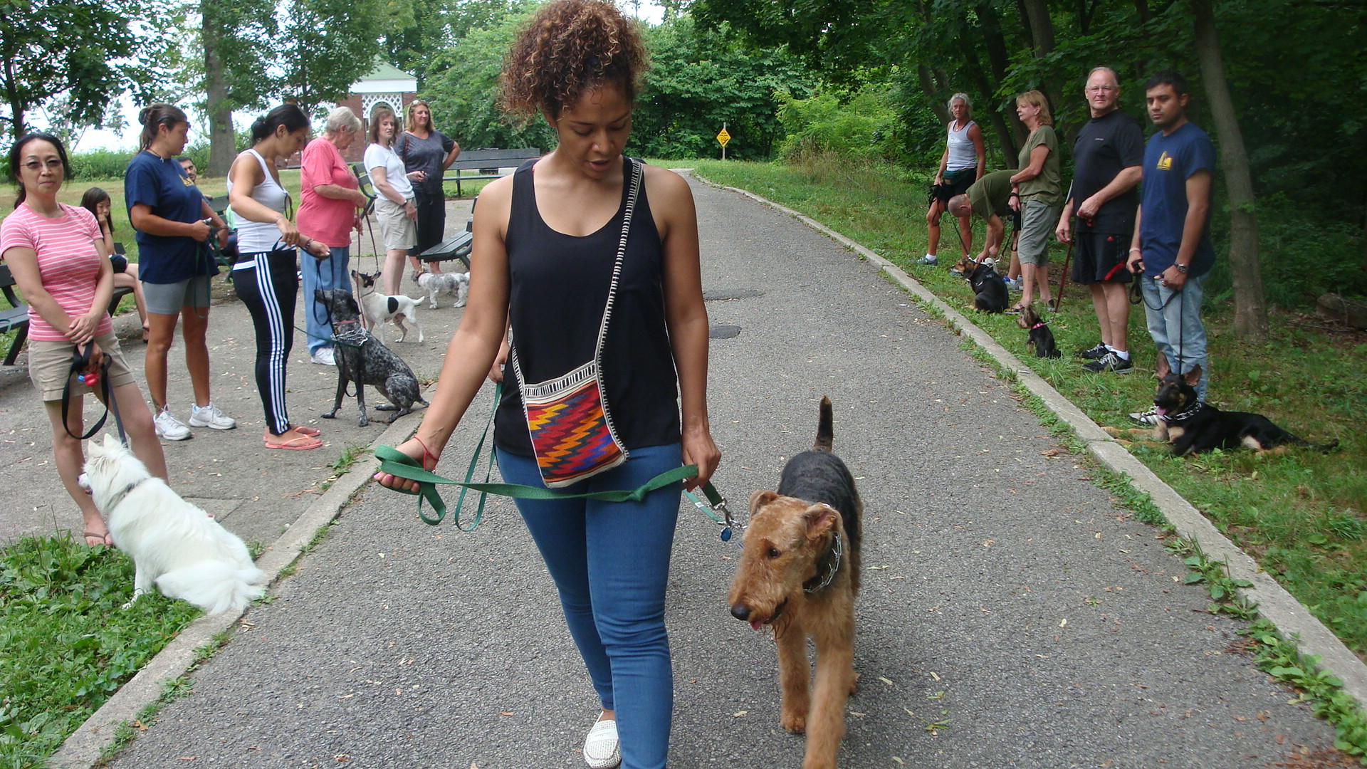 Boot Camp For Adults Dog Boot Camp Ny