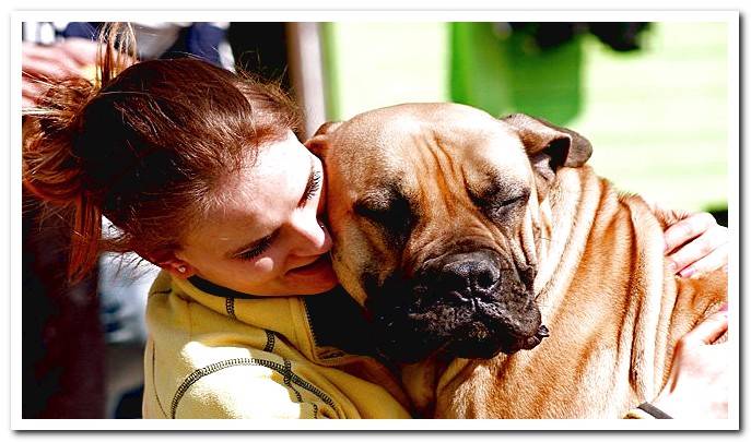 Famous Dogs Ear Back Meaning Ideas