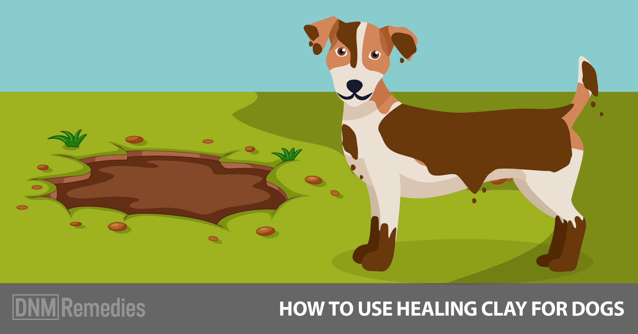 How To Use Healing Clay For Dogs