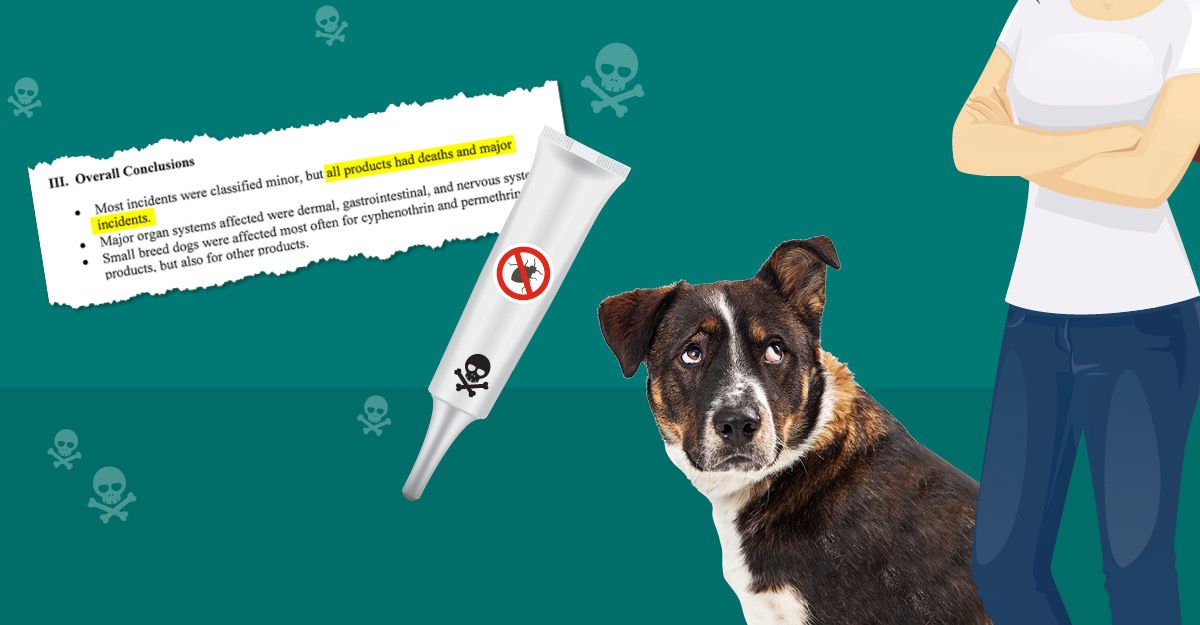 Is Frontline Plus For Dogs Harmful?