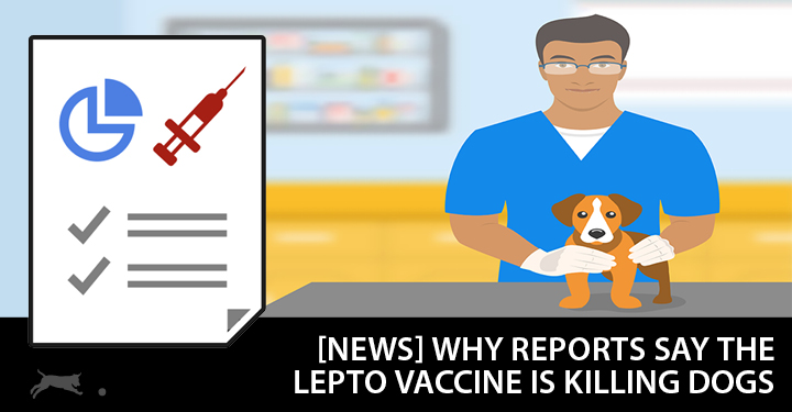 Reports Show Uk Dogs Are Dying From Lepto Vaccine - Dogs Naturally