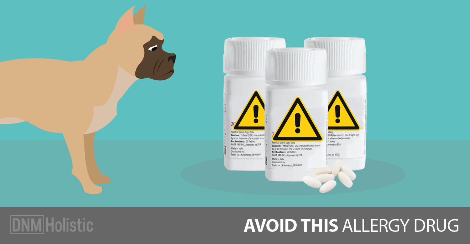 How Much Apoquel Can I Give My Dog