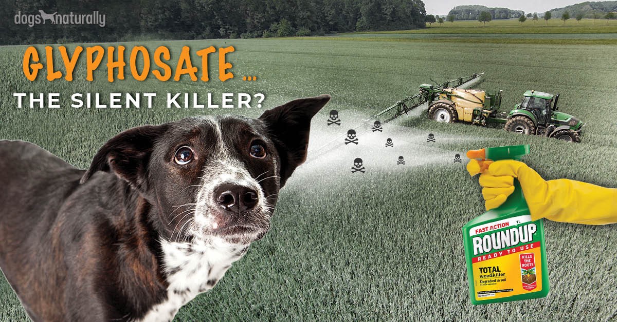 Is Roundup Safe For Dogs?