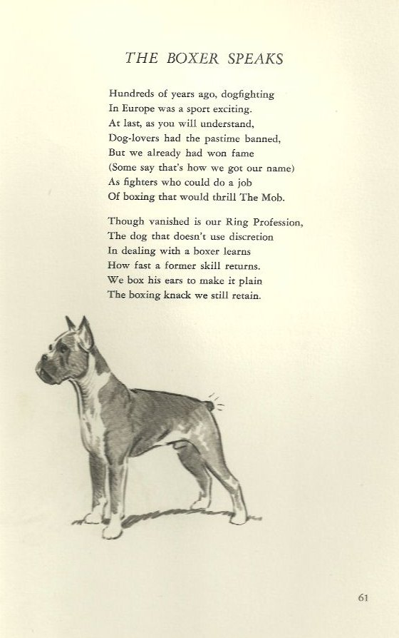 Boxer Illustration and Poem 1947 M. Dennis eBay