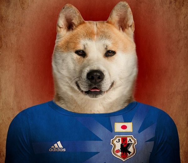 And Now, Dogs Wearing Soccer Jerseys for the 2014 World Cup