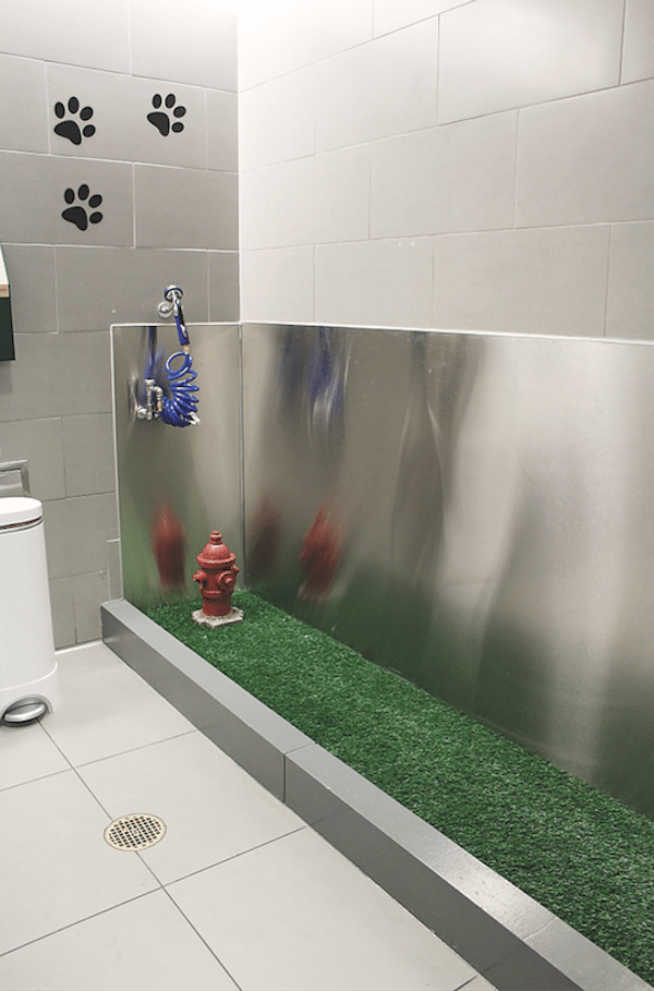 Check Out the Pet Relief Area at JFK Dogster