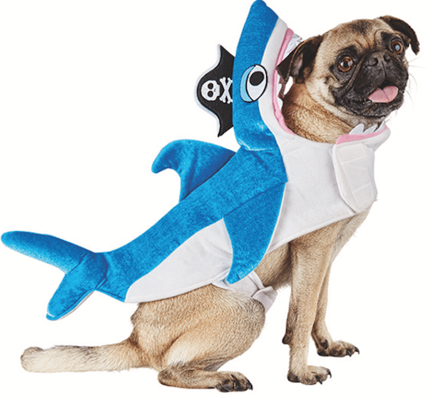 Is One of These Halloween Costumes for Dogs the Right Pick for Your Pup